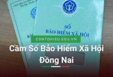 Cầm Sổ Bảo Hiểm Xã Hội Đồng Nai