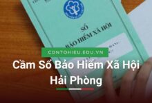 Cầm Sổ Bảo Hiểm Xã Hội Hải Phòng