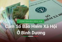 Cầm Sổ Bảo Hiểm Xã Hội Ở Bình Dương