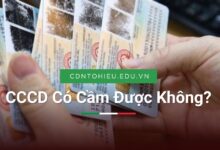 CCCD Có Cầm Được Không