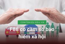 F88 có cầm sổ bảo hiểm xã hội