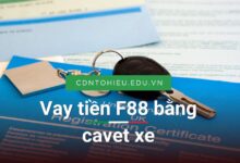 Vay tiền F88 bằng cavet xe