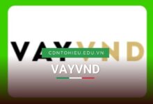 VAYVND