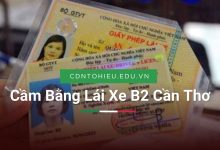 Cầm Bằng Lái Xe B2 Cần Thơ