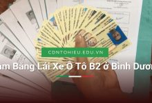 Cầm Bằng Lái Xe Ô Tô B2 ở Bình Dương