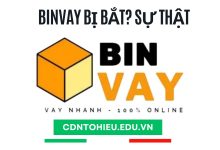 binvay bị bắt