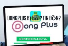 dongplus bị bắt