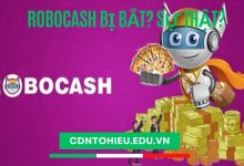 robocash bị bắt