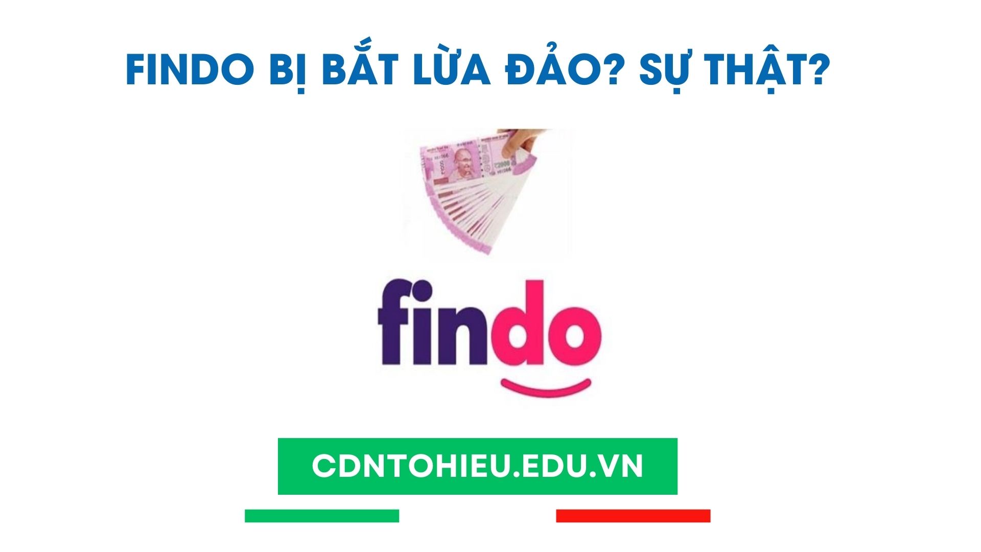 findo bị bắt