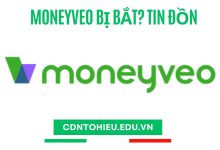 moneyveo bị bắt