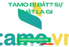 tamo bị bắt