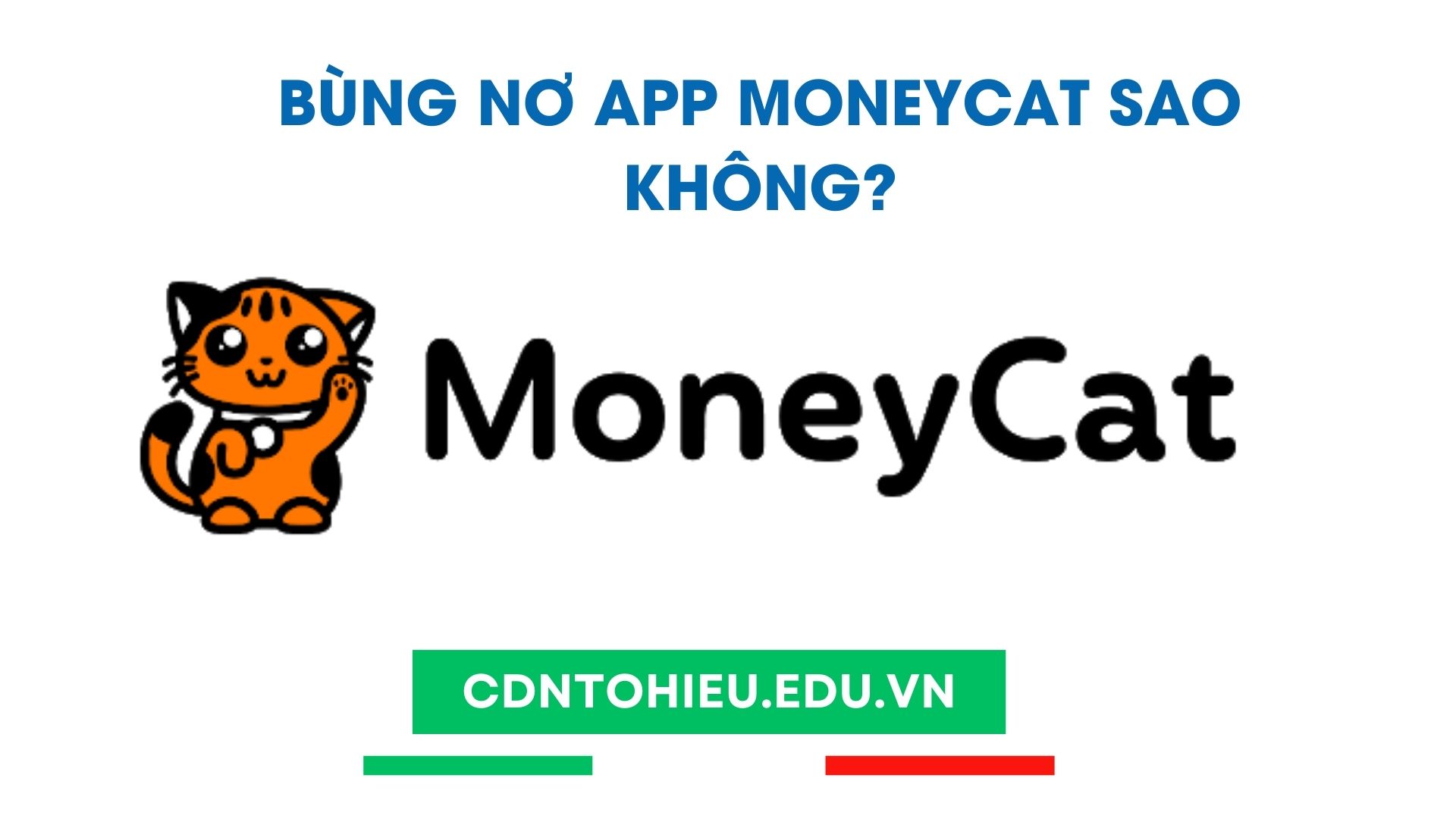 bùng nợ app moneycat