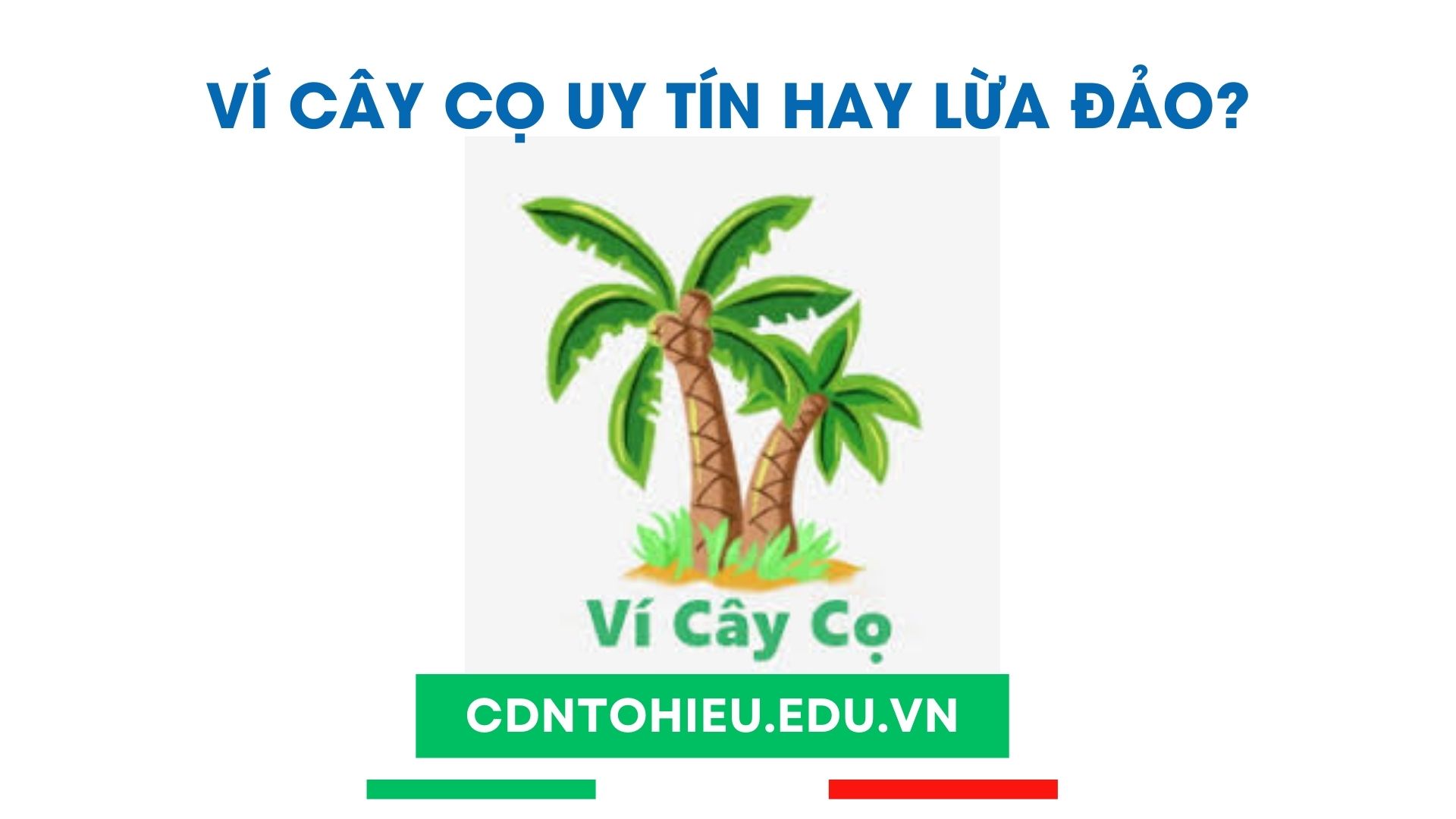 ví cây cọ